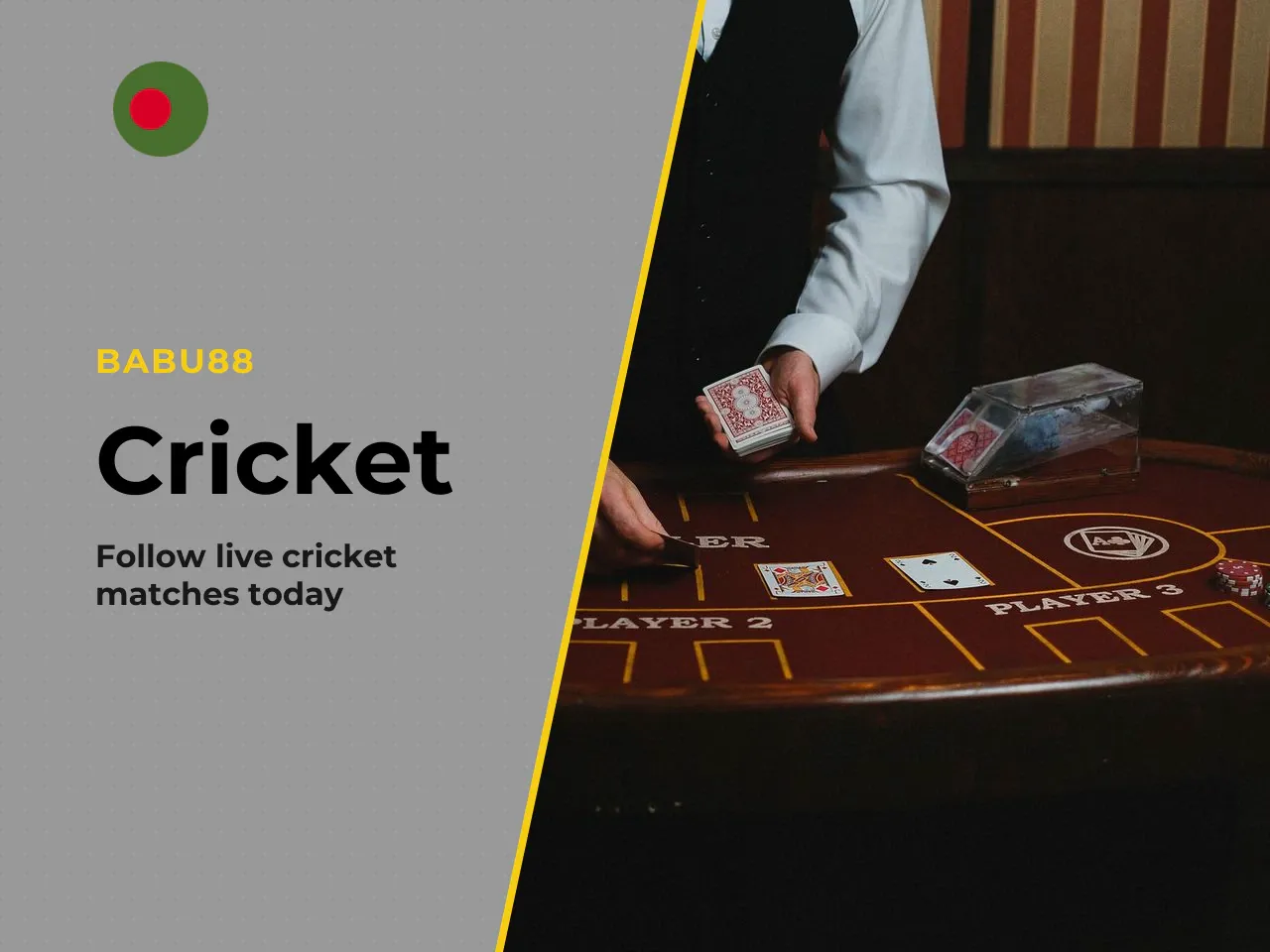 World Cup, T20 World Cup and Women's T20. The difference between the classic ODI World Cup and the T20 World Cup lies in strict match duration. Short-form T20 matches are ideally suited for smartphone