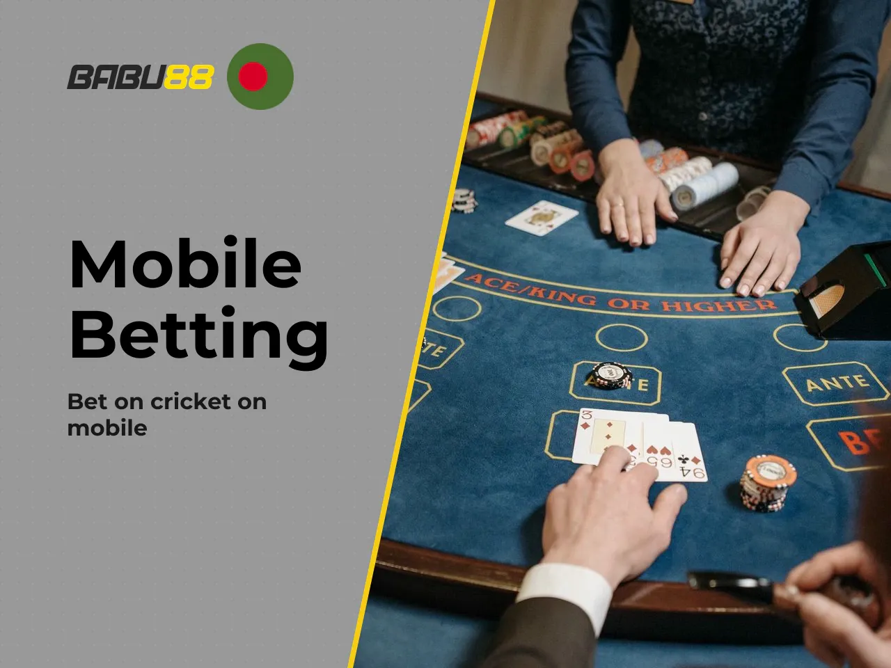 Babu88 App for Sports Betting and Casino Games. Sports betting is the core of this application, and cricket sits at the centre. You can place bets on the Bangladesh Premier League, IPL, ICC tournament